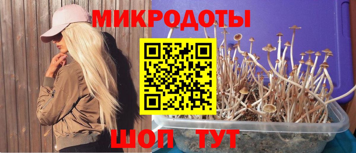 Надым  Галлюциногенные грибы Magic Shrooms  Псилоцибиновые грибы GOLDEN TEACHER  Вход с VPN 